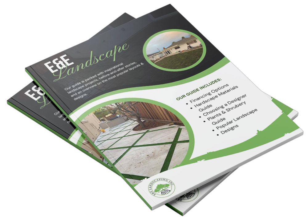 San Jose Landscape Inspiration Guide